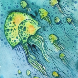 море медуз