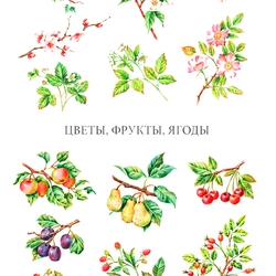 Цветы, фрукты, ягоды
