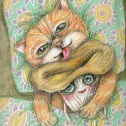 Сказка про Кота и Гриб