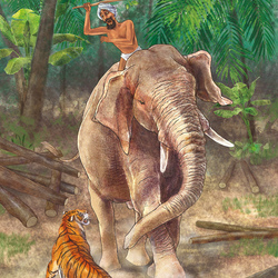 Слон vs Тигр