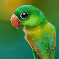 Зелёный попугай