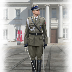 Polish Regiment Representative Officer (box art for ICM)