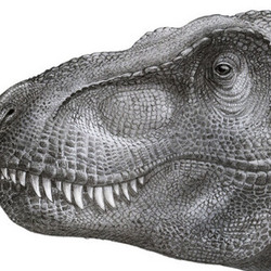 Tyrannosaurus rex (динозавр)