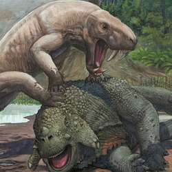 Inostrancevia vs Scutosaurus 