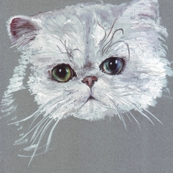 Кошачий портрет (x3)