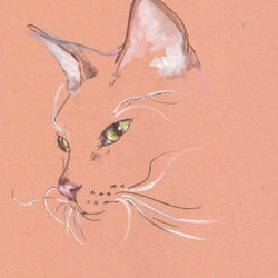 Кошачий портрет (х4)