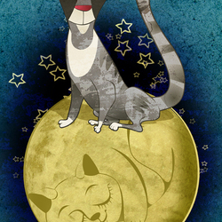 В мечтах о лунной кошке