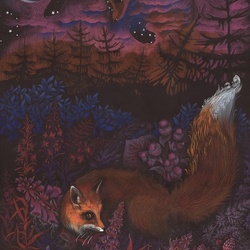 Сумрачные лисицы