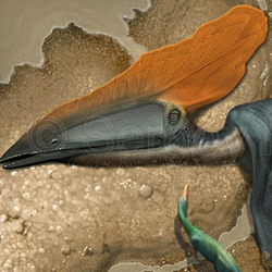 Талассодромей (птерозавр)