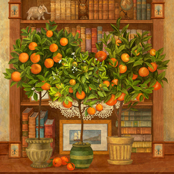 Книжный шкаф и мандарины