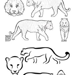 Разукрашка для проведения  детского конкурса на оригинальный дизайн росписи скульптур .Тигр и леопард.