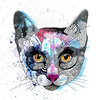 Watercolor cat